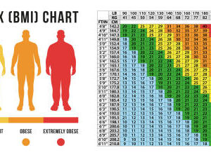 bmi calculator how to calculate